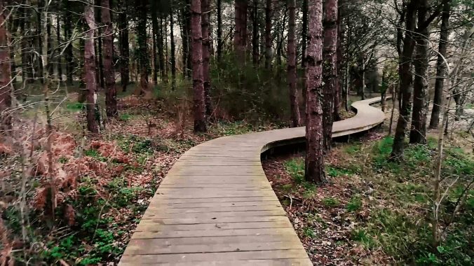 Le Ménestrel Nomade - Le serpent de bois (miniature Youtube)