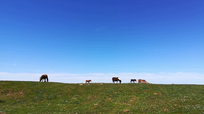 La tête dans les nuages (épisode 5)